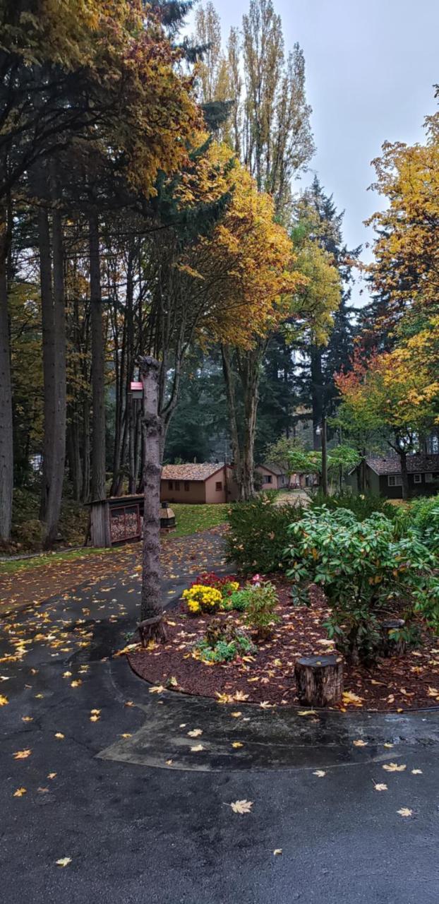 Malahat Bungalows Motel Exterior photo