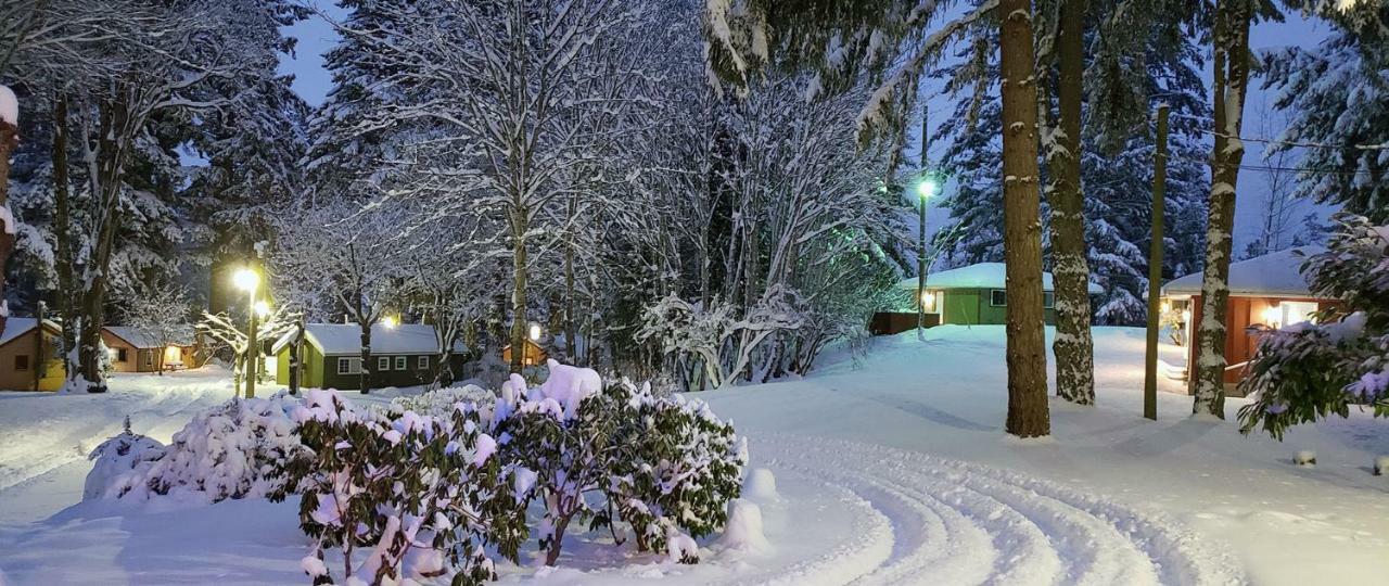 Malahat Bungalows Motel Exterior photo